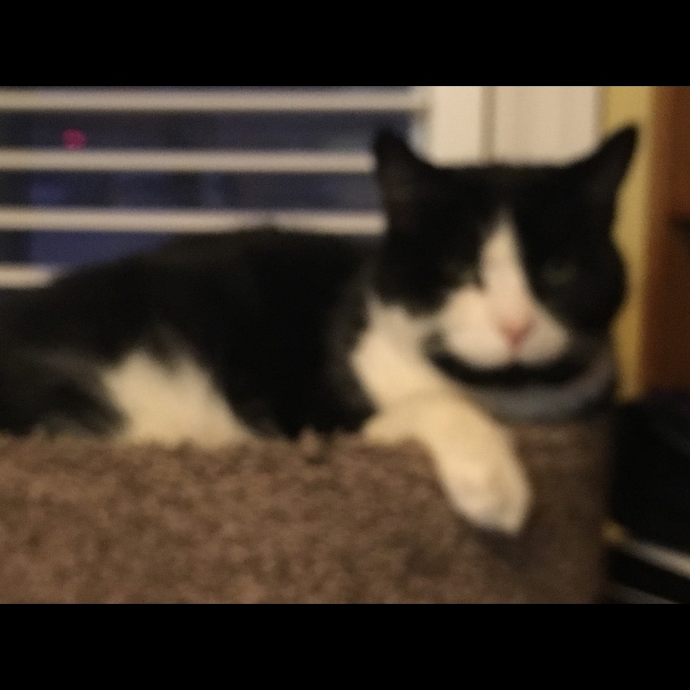 Meet your Posher, Melissa